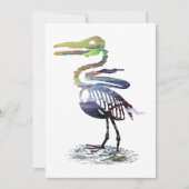 Ichthyornis skeleton (Front)