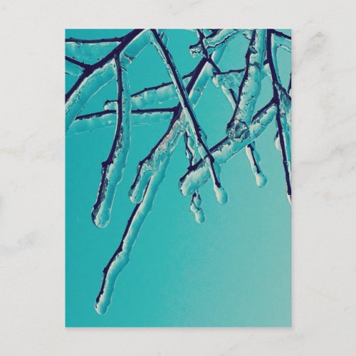 icicle branches postcard