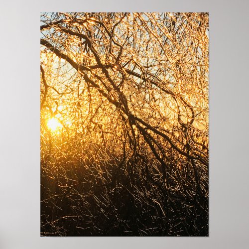 icicle branches poster