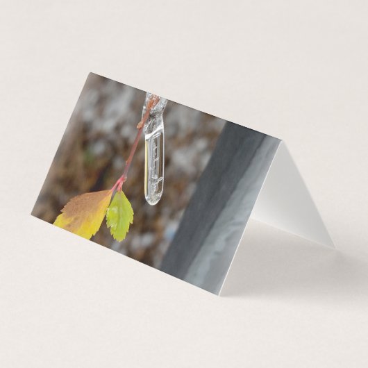 Icicle on leaf (Front)