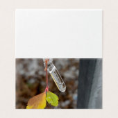 Icicle on leaf (Outside Unfolded)