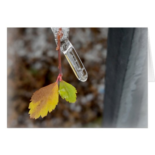 Icicle on leaf cards (Front Horizontal)