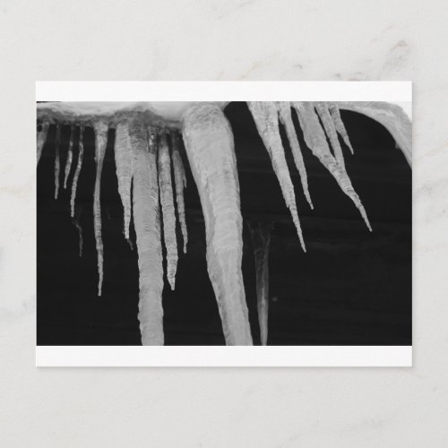 icicles by Coressel Productions Postcard