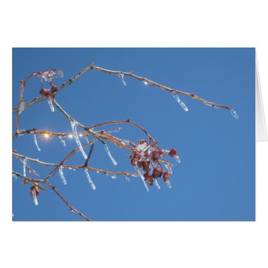 Icicles sparkle in sunlight against the blue sky (Front Horizontal)