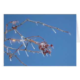 Icicles sparkle in sunlight against the blue sky cards