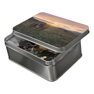 Icleandic horses puzzle