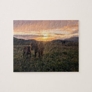 Icleandic horses puzzle