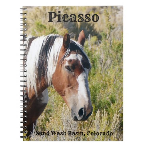 Icon of Sand Wash Basin Notebook