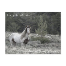 Icon of the Wild West - Postcard