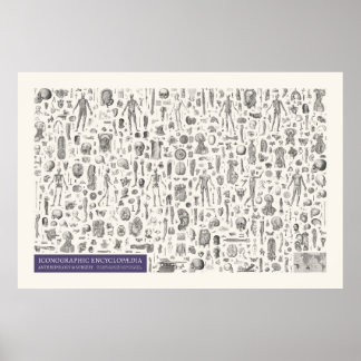 Iconography - Anthropology & Surgery Poster