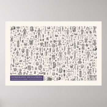 Iconography - Anthropology & Surgery Poster by creativ82 at Zazzle