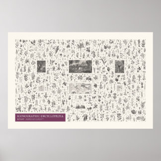 Iconography - Botany Poster