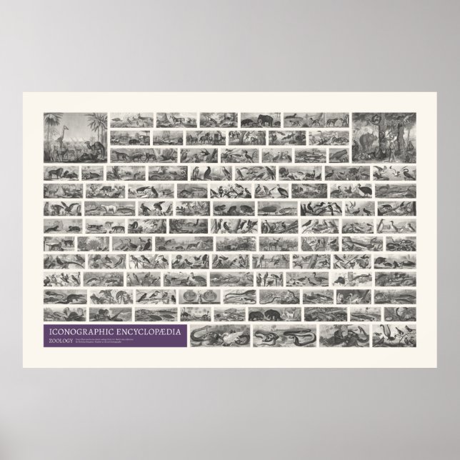 Iconography - Zoology Scenes Poster (Front)