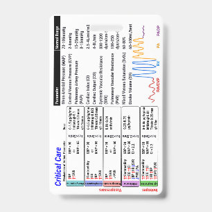 ICU Critical Care Badge Buddy