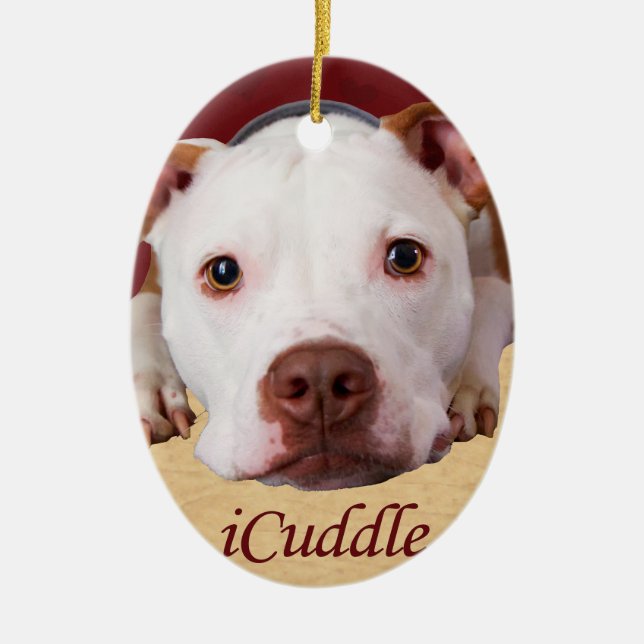 iCuddle Pitbull Ceramic Ornament (Front)