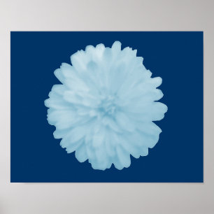 Icy Blue Marigold Poster