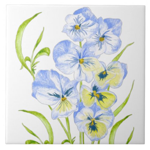 Icy Blue Pansies on a Ceramic Tile