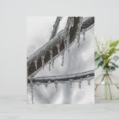 Icy Branch (Standing Front)