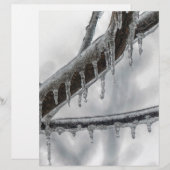 Icy Branch (Front/Back)