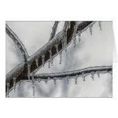 Icy Branch (Front Horizontal)