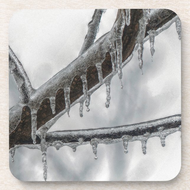 Icy Branch Beverage Coaster (Front)