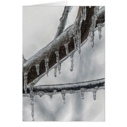 Icy Branch Cards (Front)