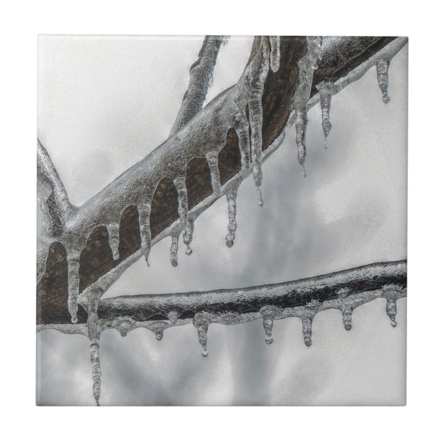 Icy Branch Ceramic Tile (Front)