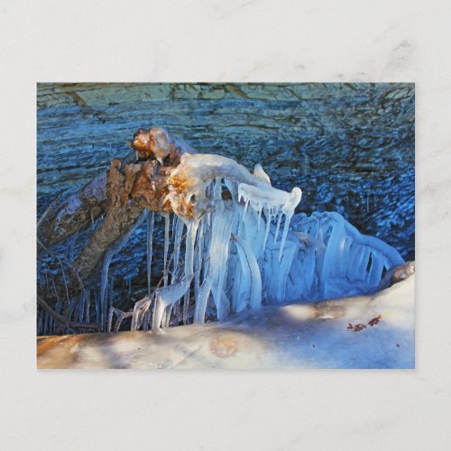 Icy Branch Shelburne Vermont Lake Champlain Postcard