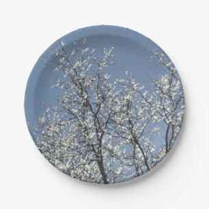Icy Branches in Winter Blue Sky Paper Plates