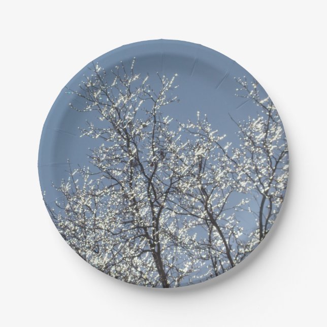 Icy Branches in Winter Blue Sky Paper Plates (Front)