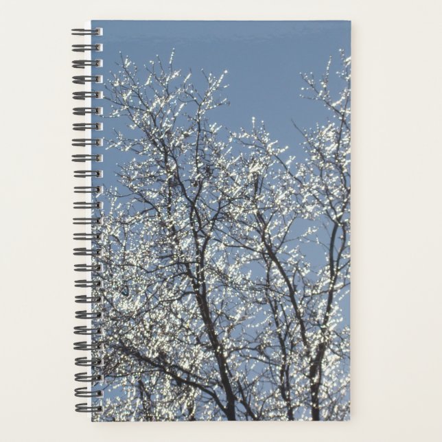 Icy Branches in Winter Blue Sky Planner (Front)