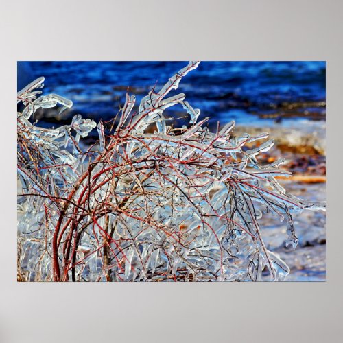 Icy Branches Lake Champlain Shelburne Vermont Poster