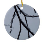 Icy Branches Winter Nature Photography Ceramic Ornament