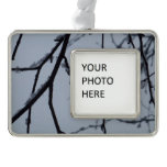 Icy Branches Winter Nature Photography Christmas Ornament