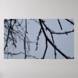 Icy Branches Winter Nature Photography Poster