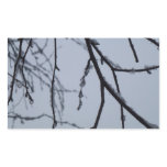 Icy Branches Winter Nature Photography Rectangular Sticker
