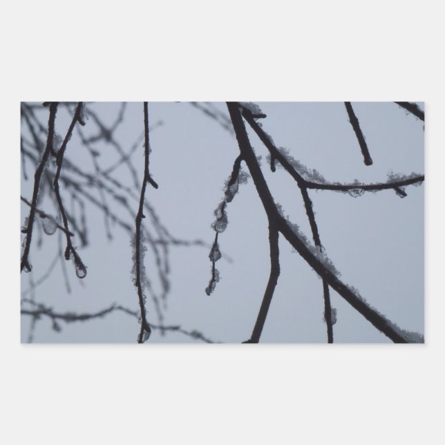 Icy Branches Winter Nature Photography Rectangular Sticker (Front)