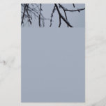 Icy Branches Winter Nature Photography Stationery