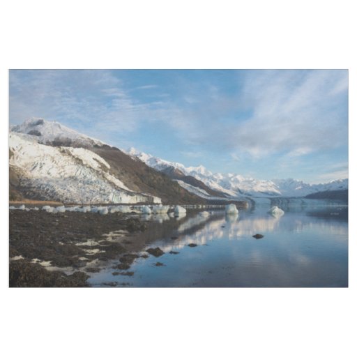 Icy College Fjord Fabric