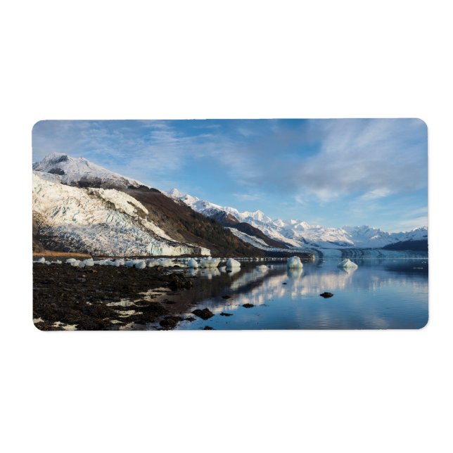 Icy College Fjord Label (Front)