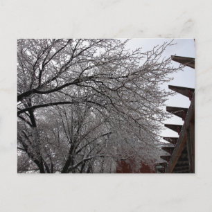 Icy Delmar Loop Postcard