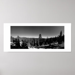 Icy Forest Panoramic Black and White Photography Poster