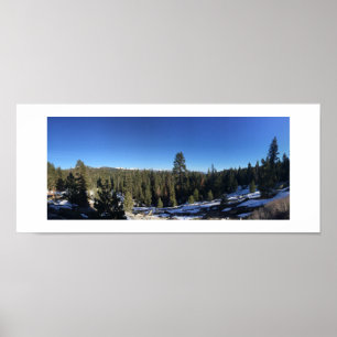 Icy Forest Panoramic Color Photography Poster