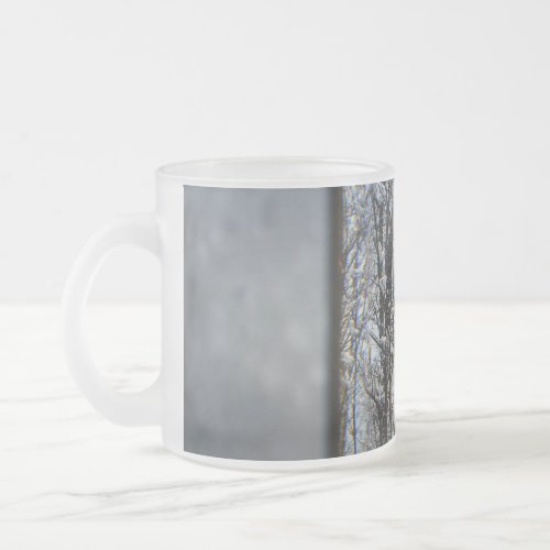 Icy Frosted Glass Coffee Mug