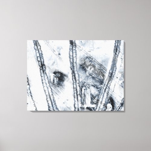 Icy Impressions Canvas Print