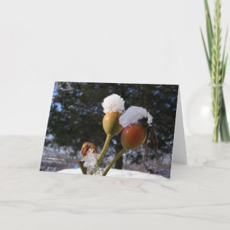 Icy Rose Hips ~ card