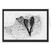 icy seeds in love (Front Horizontal)