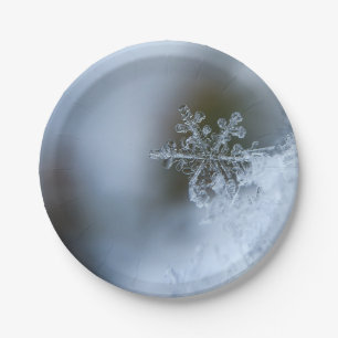 Icy Snowflake Paper Plates