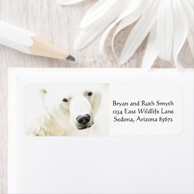 Icy Stare of a Polar Bear Label (Insitu)