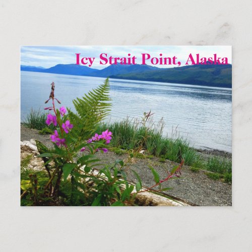 Icy Strait Point Alaska Postcard
